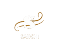 Sanchi Finance 